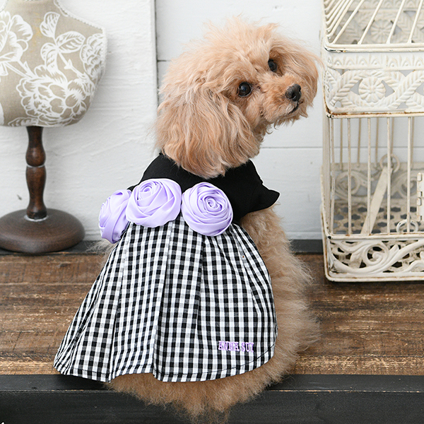 2026新商品 ANNA SUI(アナ スイ)バラコサージュギンガムチェックワンピ