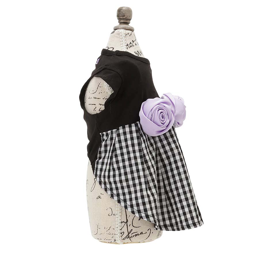 2026新商品 ANNA SUI(アナ スイ)バラコサージュギンガムチェックワンピ