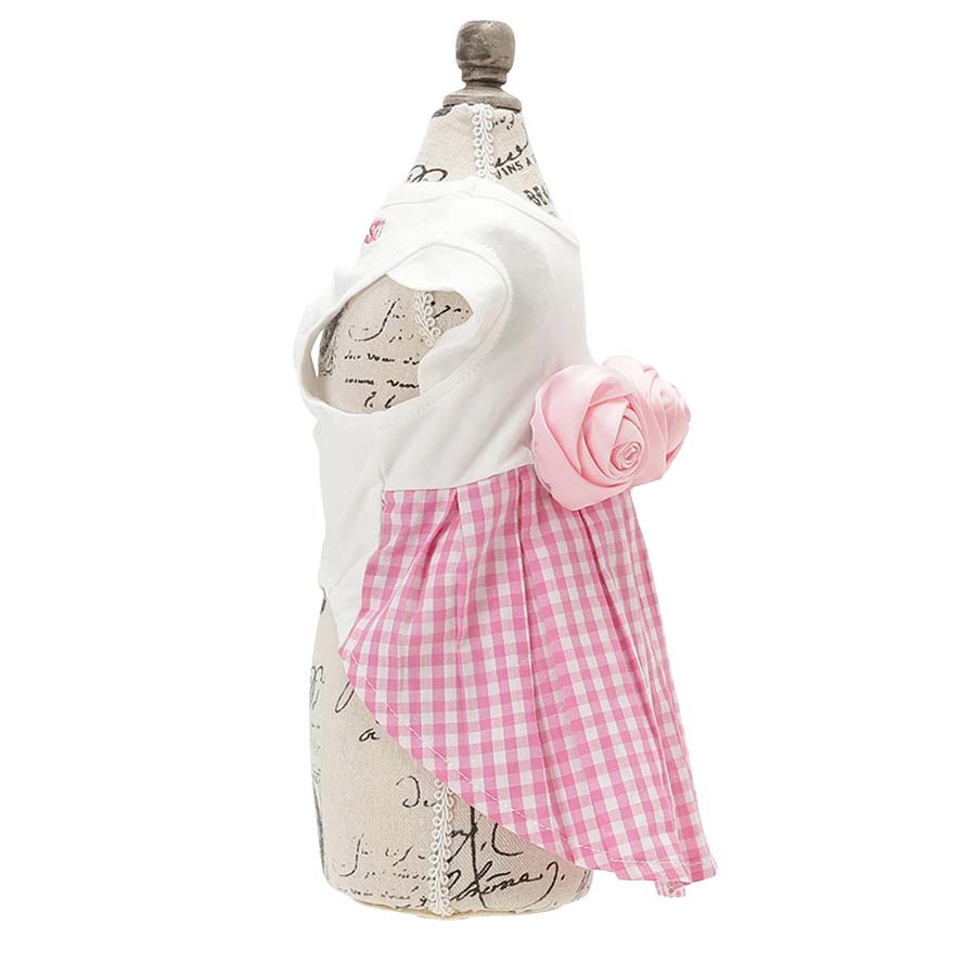 2026新商品 ANNA SUI(アナ スイ)バラコサージュギンガムチェックワンピ