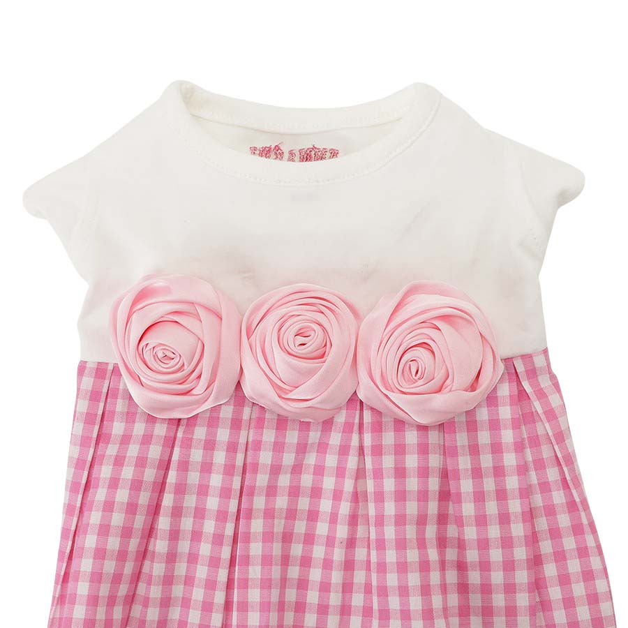 2026新商品 ANNA SUI(アナ スイ)バラコサージュギンガムチェックワンピ