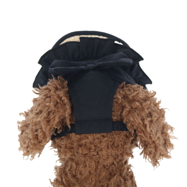 2026新商品 ANNA SUI(アナ スイ)リボン付き麦わらサンバイザー