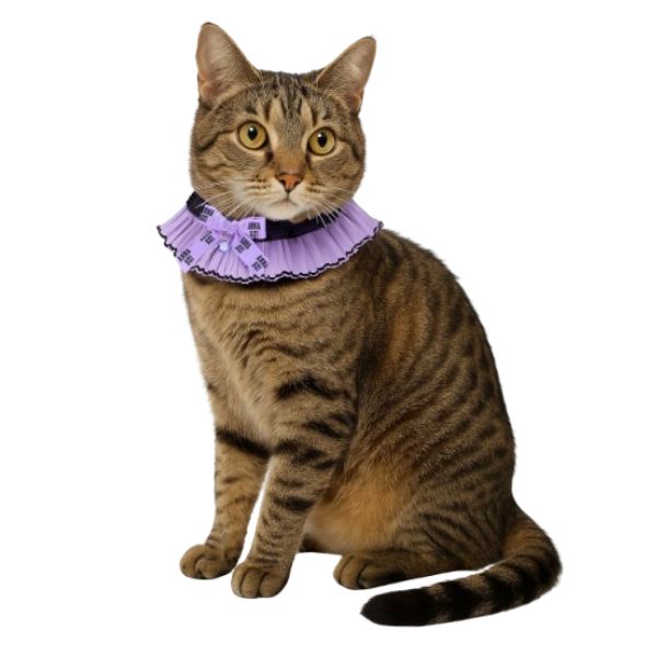 ANNA SUI（アナスイ） 猫用リボン付シフォンプリーツシュシュ首輪