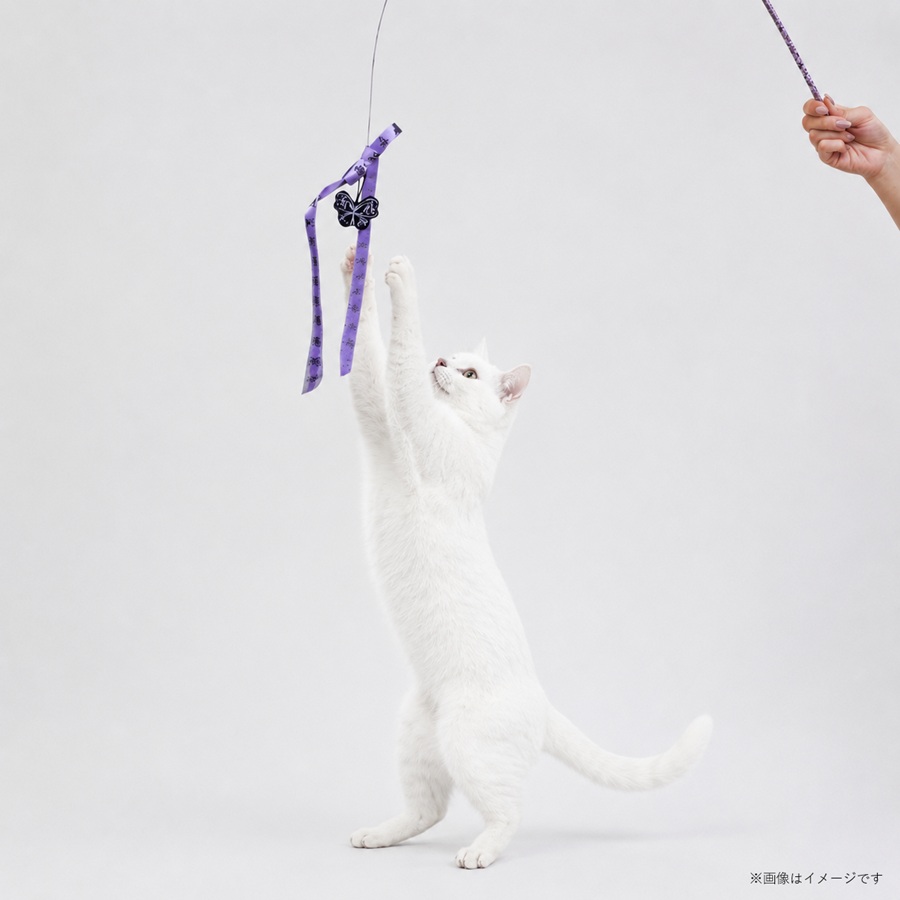 ANNA SUI（アナスイ） 猫じゃらしワイヤータイプ
