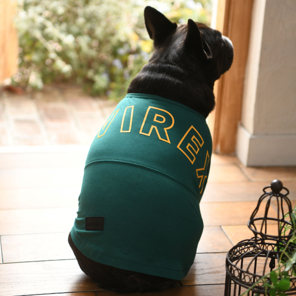 【2021春夏】AVIREX（アヴィレックス）ビッグロゴ Tシャツ