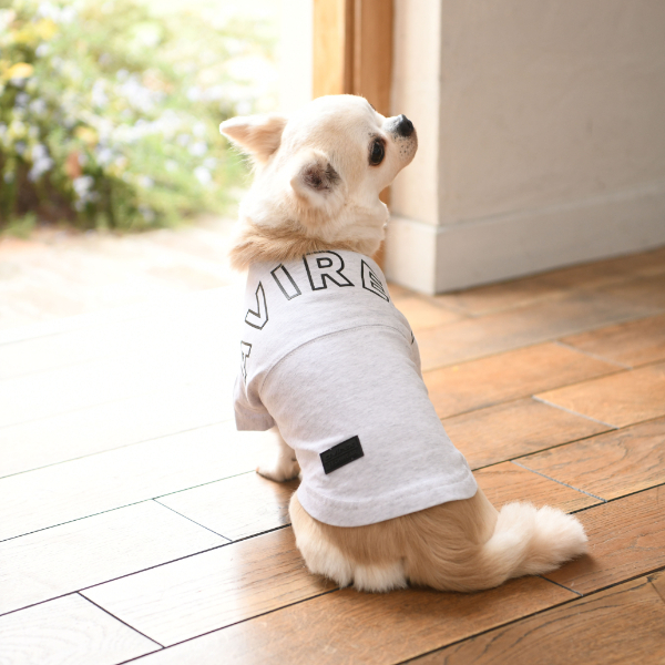 【2021春夏】AVIREX（アヴィレックス）ビッグロゴ Tシャツ
