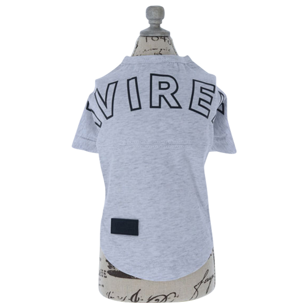 【2021春夏】AVIREX（アヴィレックス）ビッグロゴ Tシャツ