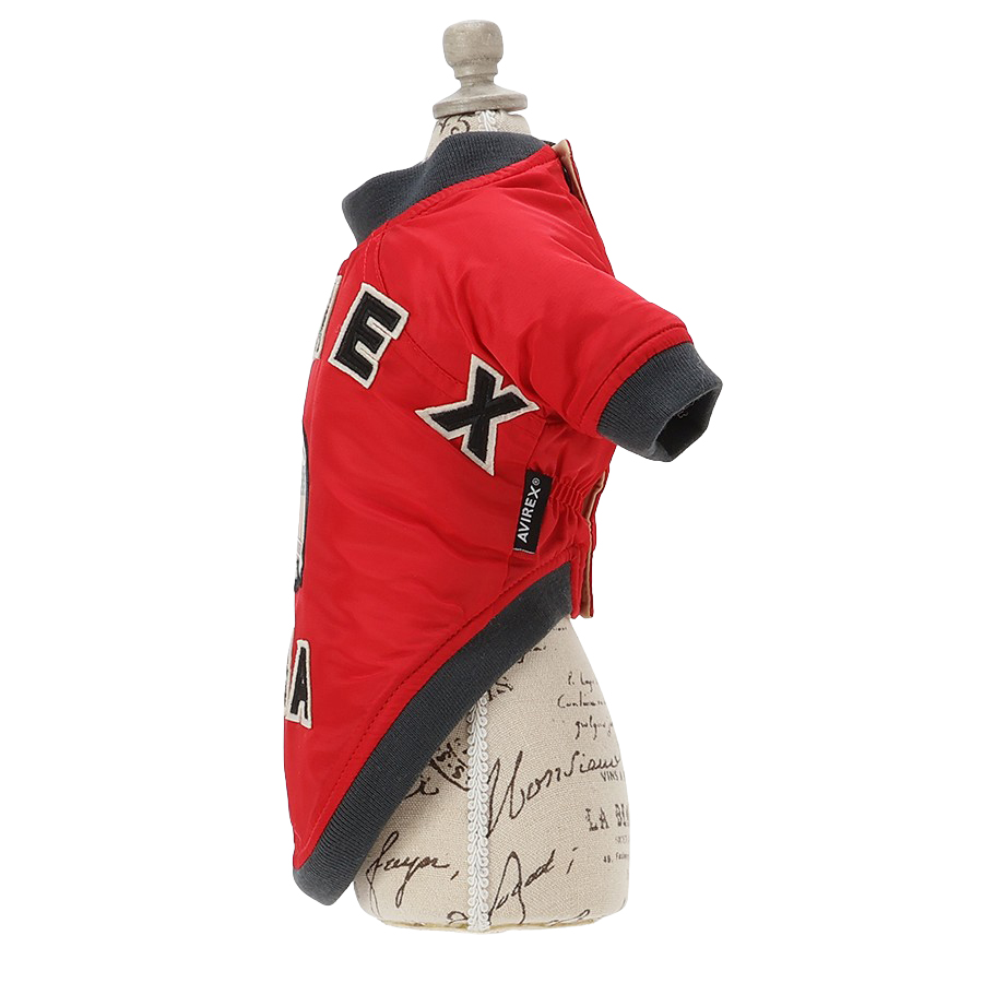 2025秋冬 AVIREX（アヴィレックス）MA-１シグニチャービッグロゴ