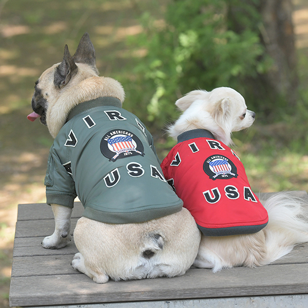 2025秋冬 AVIREX（アヴィレックス）MA-１シグニチャービッグロゴ