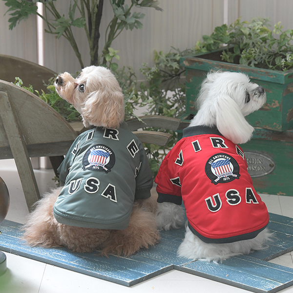 2025秋冬 AVIREX（アヴィレックス）MA-１シグニチャービッグロゴ