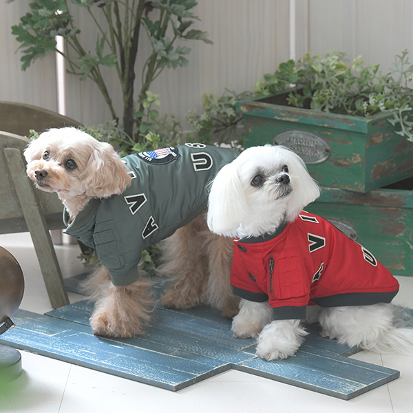 2025秋冬 AVIREX（アヴィレックス）MA-１シグニチャービッグロゴ