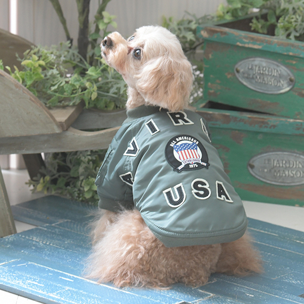 2025秋冬 AVIREX（アヴィレックス）MA-１シグニチャービッグロゴ