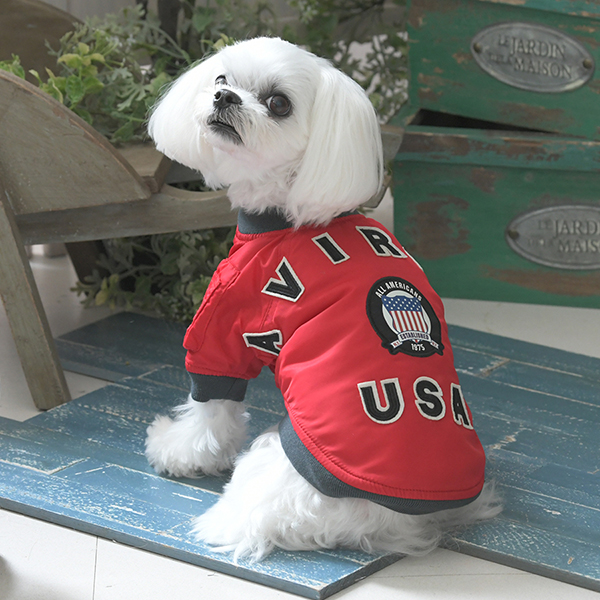 2025秋冬 AVIREX（アヴィレックス）MA-１シグニチャービッグロゴ