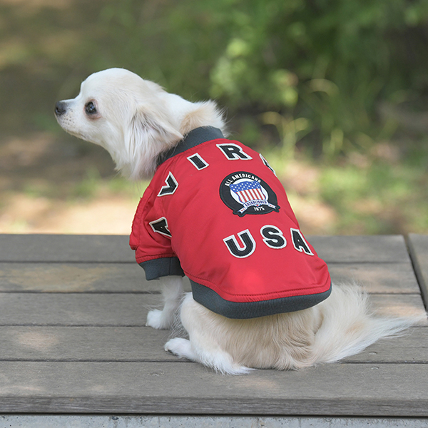 2025秋冬 AVIREX（アヴィレックス）MA-１シグニチャービッグロゴ