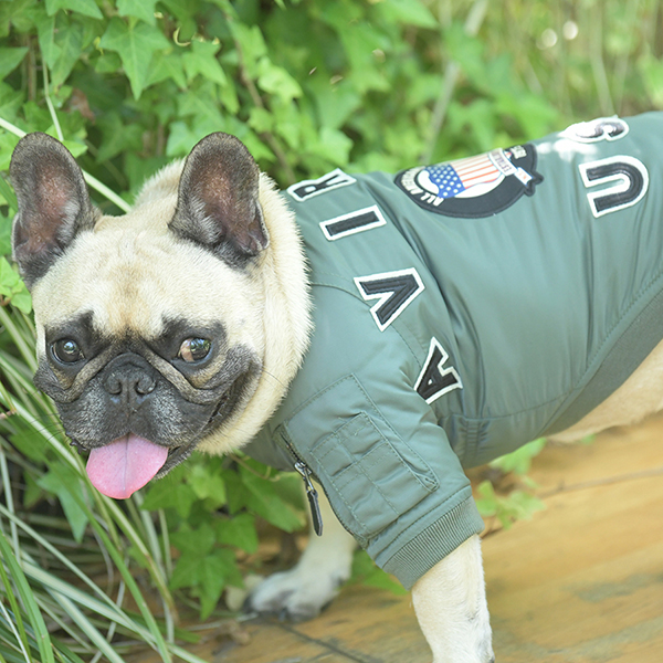 2025秋冬 AVIREX（アヴィレックス）MA-１シグニチャービッグロゴ