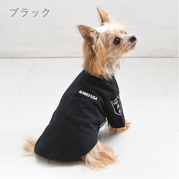 AVIREX（アヴィレックス）ファティーグTシャツ