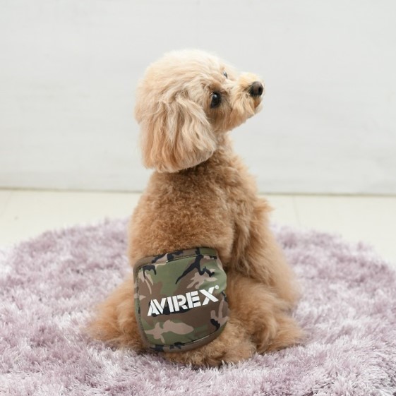 AVIREX（アヴィレックス）マナーベルト グリーンカモ | 犬服・ドック