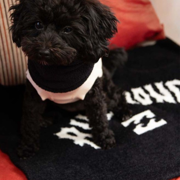 BILLABONG(ビラボン)DOG BLANKET|全2色