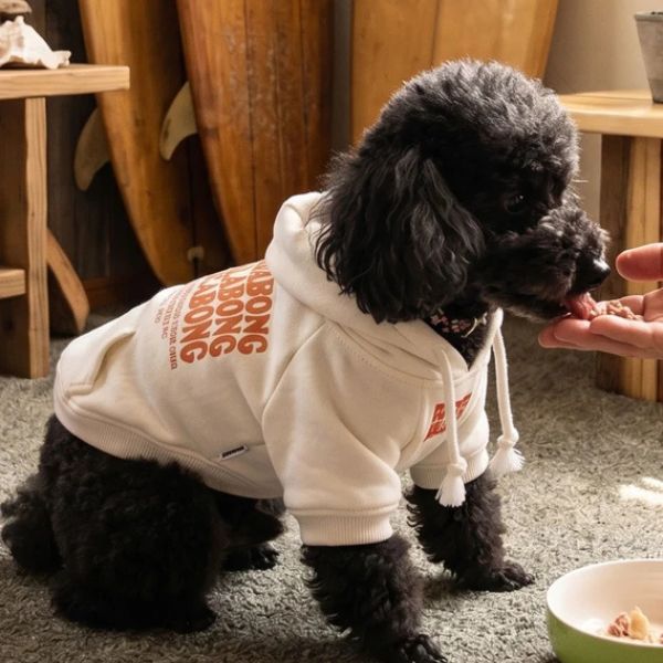 BILLABONG(ビラボン)WAVE LOGO DOG SWEAT|全3色