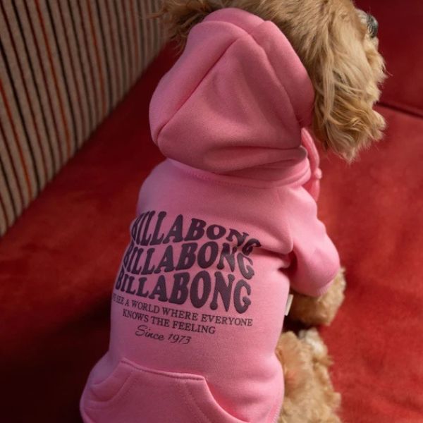 BILLABONG(ビラボン)WAVE LOGO DOG SWEAT|全3色