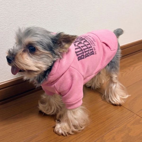 BILLABONG(ビラボン)WAVE LOGO DOG SWEAT|全3色