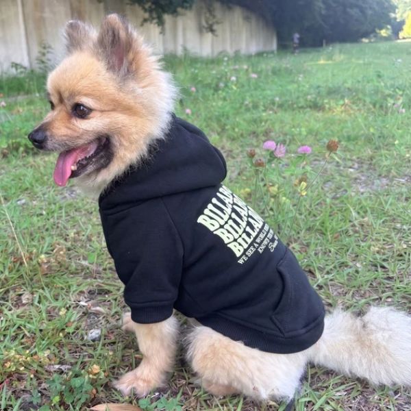 BILLABONG（ビラボン）WAVE LOGO DOG SWEAT｜全3色