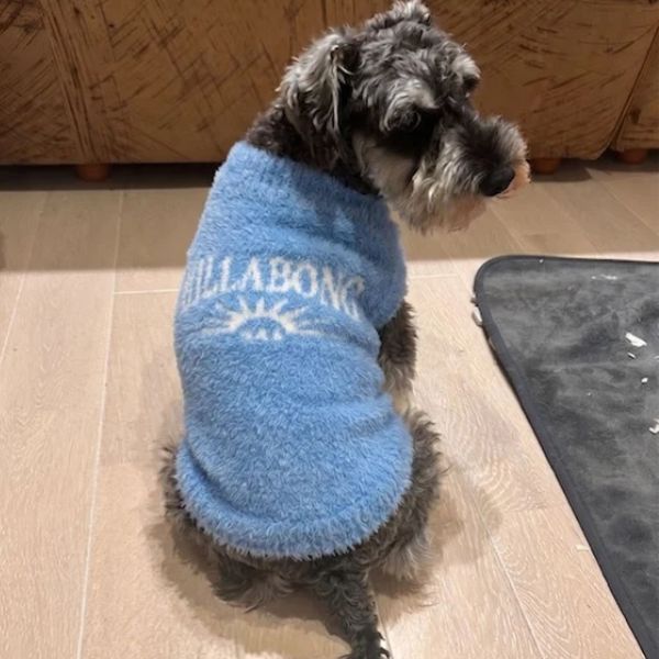 BILLABONG（ビラボン）FUWAFUWA DOG SWEATER｜全3色