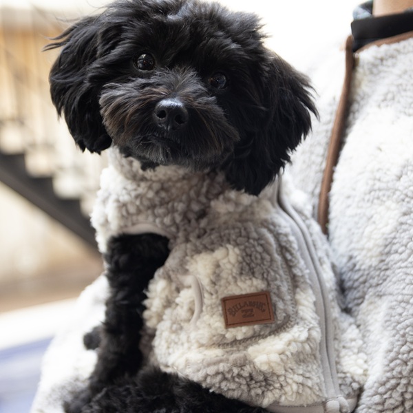 BILLABONG（ビラボン）DOG BOA VEST｜全3色