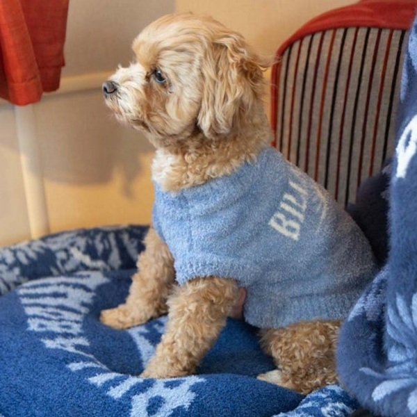 BILLABONG(ビラボン)DOG MULTI BED|全2色