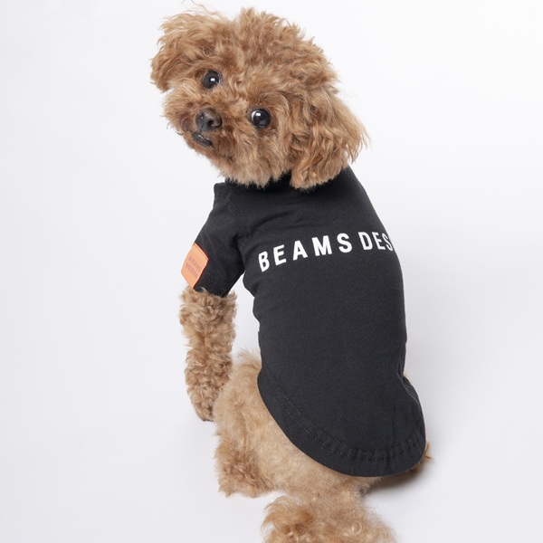BEAMS DESIGN(ビームス デザイン)スタンダードシャツ