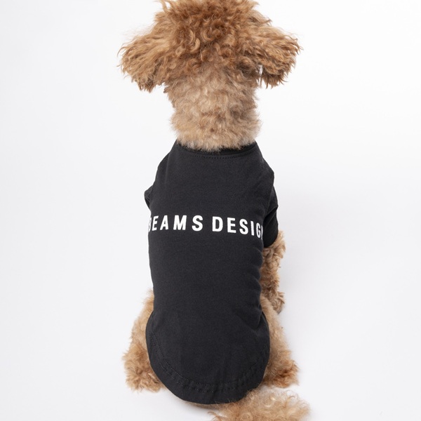 BEAMS DESIGN(ビームス デザイン)スタンダードシャツ