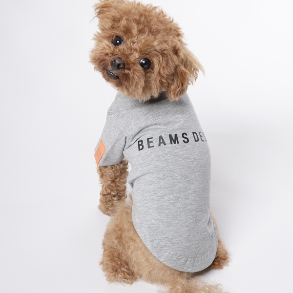 BEAMS DESIGN(ビームス デザイン)スタンダードシャツ