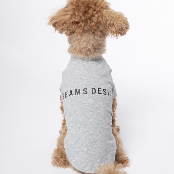 BEAMS DESIGN(ビームス デザイン)スタンダードシャツ