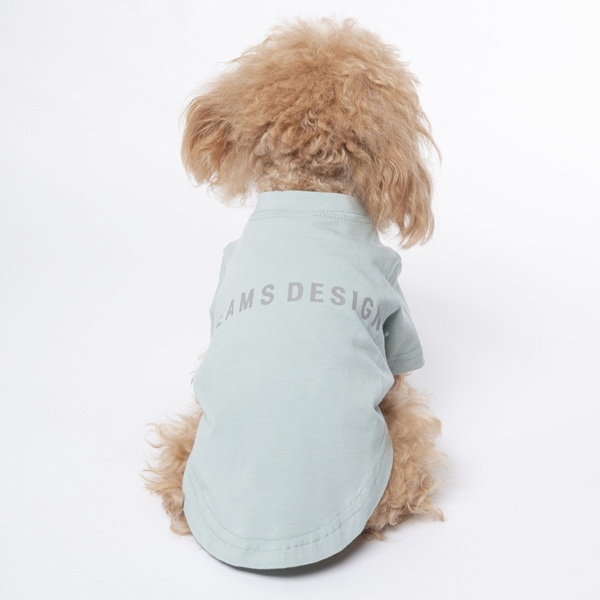BEAMS DESIGN(ビームス デザイン)スタンダードシャツ