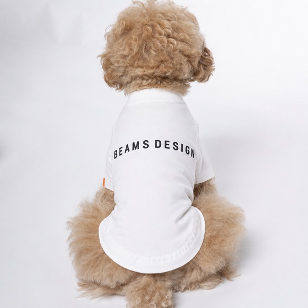 BEAMS DESIGN(ビームス デザイン)スタンダードシャツ