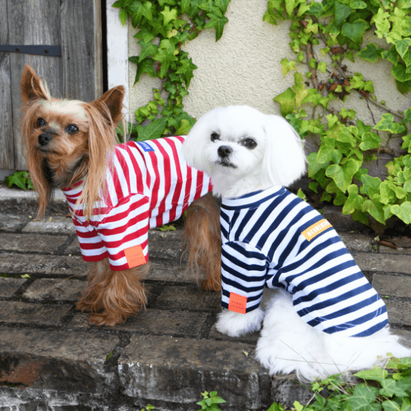 犬服 ドッグウェアブランド Calulu カルル 公式ペット用品通販サイト 犬服 ドッグウェアブランド Calulu カルル 公式ペット用品通販サイト