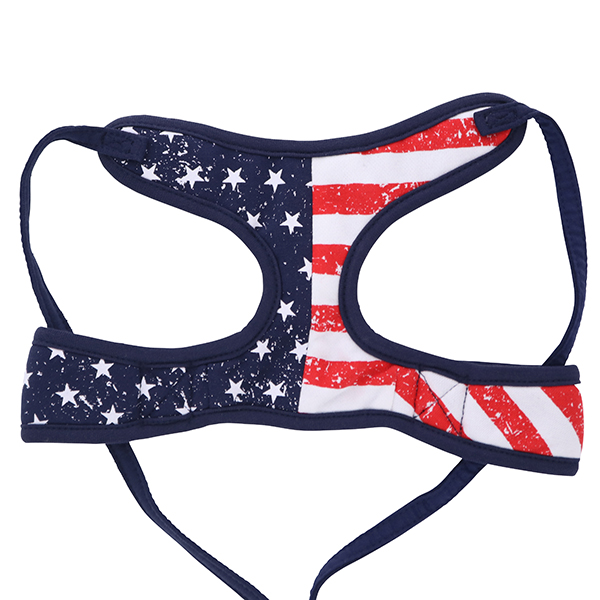 【WEB限定】BEAMS DESIGN（ビームス デザイン）ハーネスリード スターズアンドストライプス