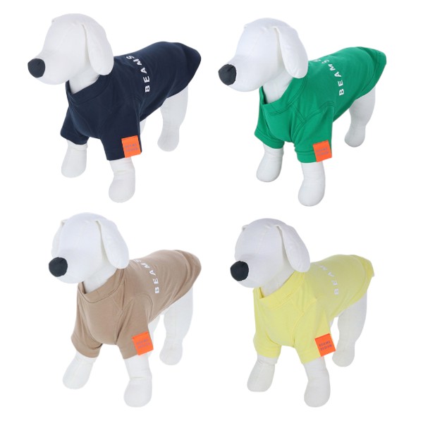 【WEB限定色】 BEAMS DESIGN（ビームス デザイン）スタンダードシャツ