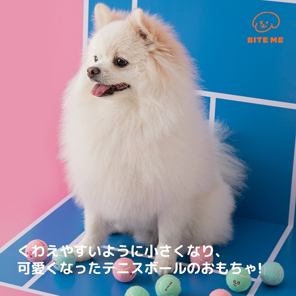 BITE ME（バイトミー）ミニテニスボールおもちゃ 3個入り