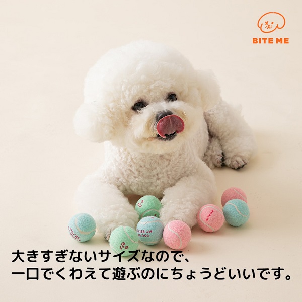 BITE ME（バイトミー）ミニテニスボールおもちゃ 3個入り