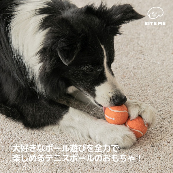 BITE ME（バイトミー）テニスボールおもちゃ 3個入り