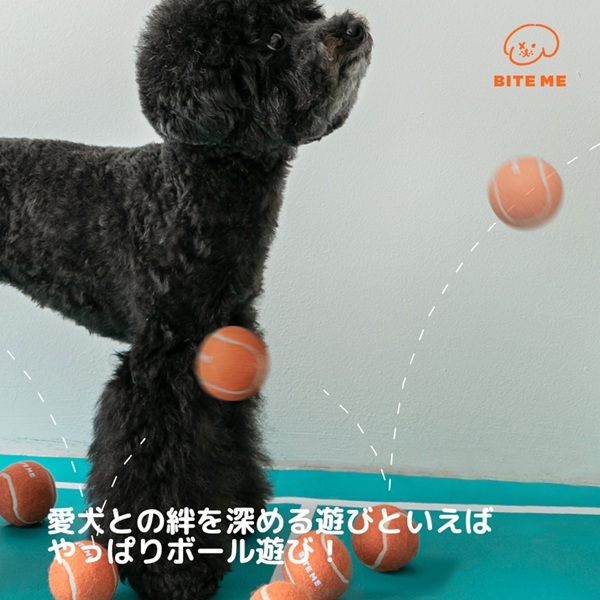 BITE ME（バイトミー）テニスボールおもちゃ 3個入り