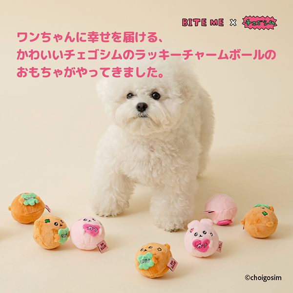 BITE ME(バイトミー)チェゴシムラッキーチャームボール(くまゴシム/うさゴシム)