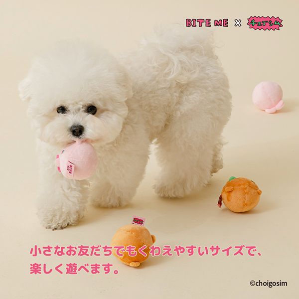 BITE ME(バイトミー)チェゴシムラッキーチャームボール(くまゴシム/うさゴシム)