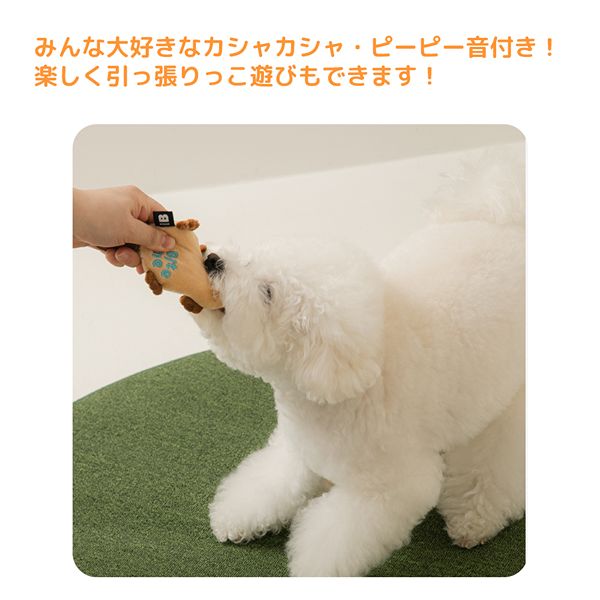 BITE ME(バイトミー)ぺたんこラテックスおもちゃ