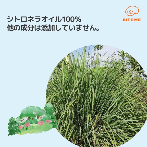 BITE ME（バイトミー）×POKORI Friends ヘイトミーパッチ 18個入り