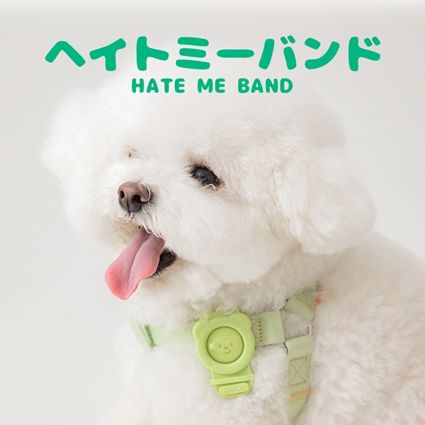 BITE ME（バイトミー）ヘイトミーバンド