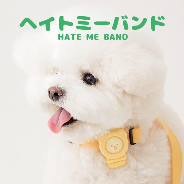 BITE ME（バイトミー）ヘイトミーバンド