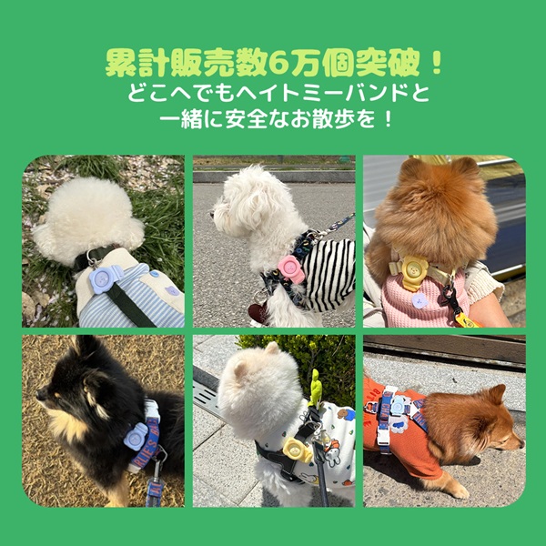 BITE ME（バイトミー）ヘイトミーバンド