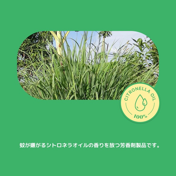 BITE ME（バイトミー） ヘイトミーパッチクマ 24個入り