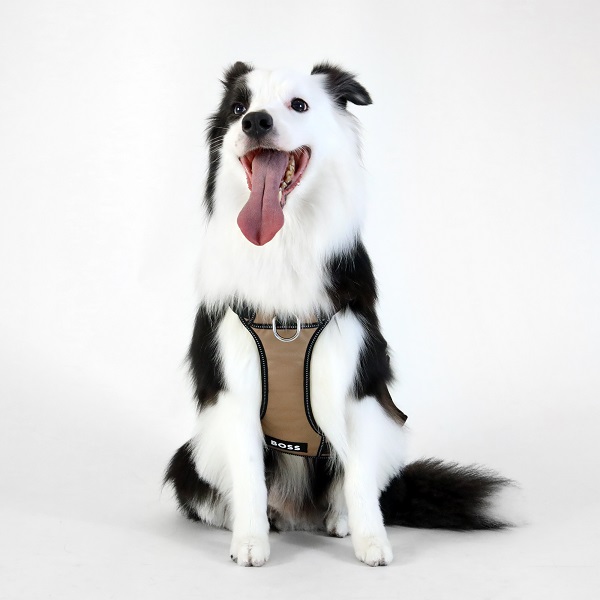 BOSS（ボス）ハーネス / Dog Essentials Harness